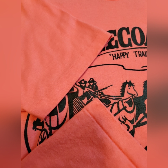 Vintage stagecoach single stitch size large destination T-shirt - Picture 3 of 5